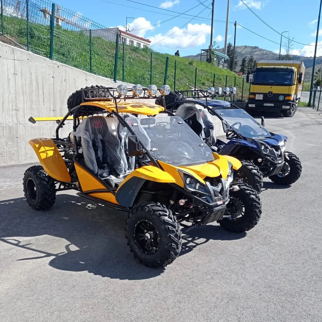 Buggy RENLI RL500