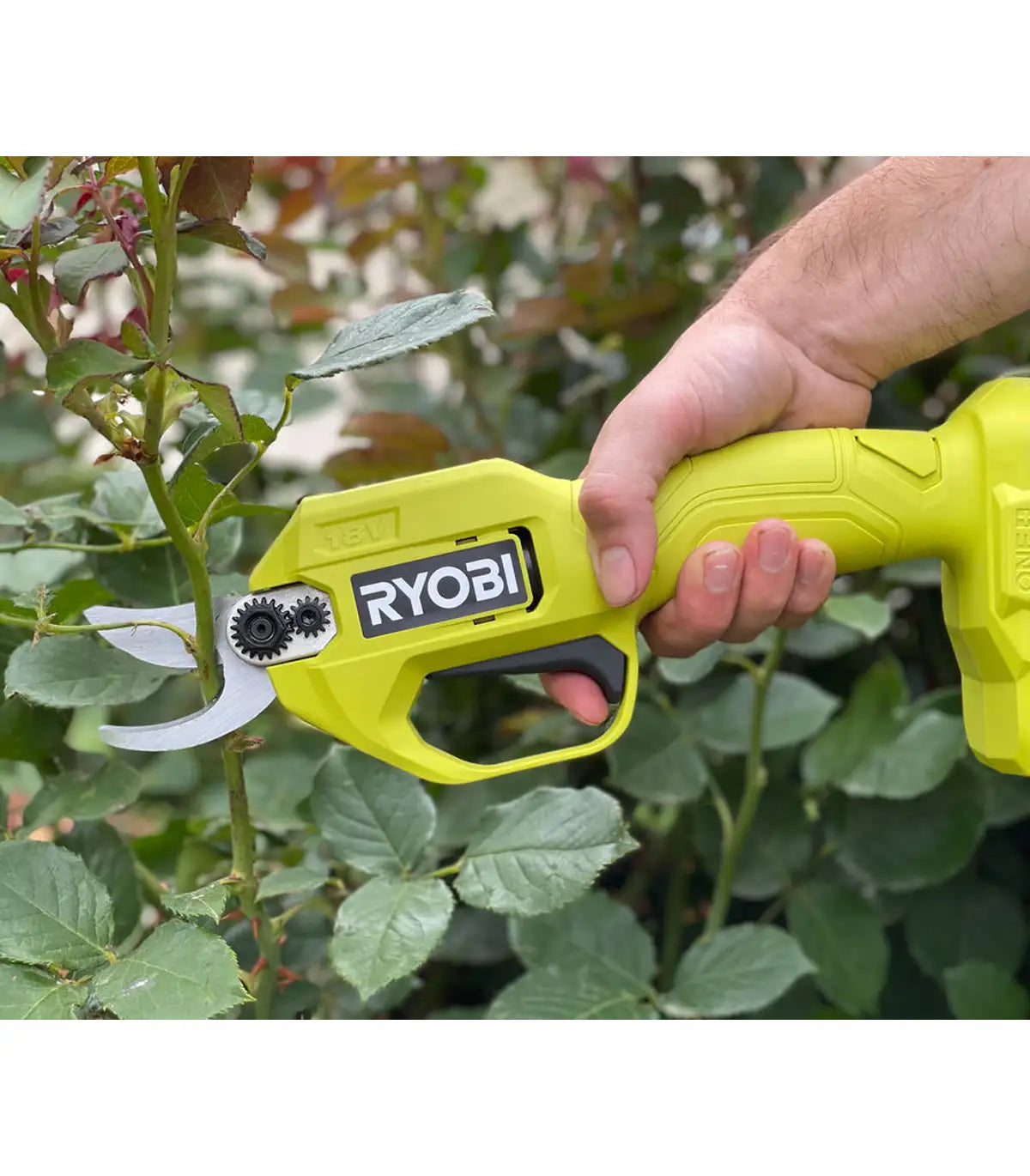 Ryobi – Akumulatorske škare za grane 18 V SOLO RY18SCA-0 by RYOBI Škare za travu, grane i živu ogradu