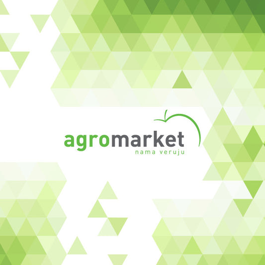 V961P - SVECICA (BRIGGS) (J19LM CHAMP - B2LM NGK) - 21MM