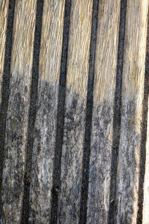 Scheppach metalna četka za ugaonu brusilicu MRS1300 - Scheppach - metalna četka - Pribor za elektro alate > Pribor za