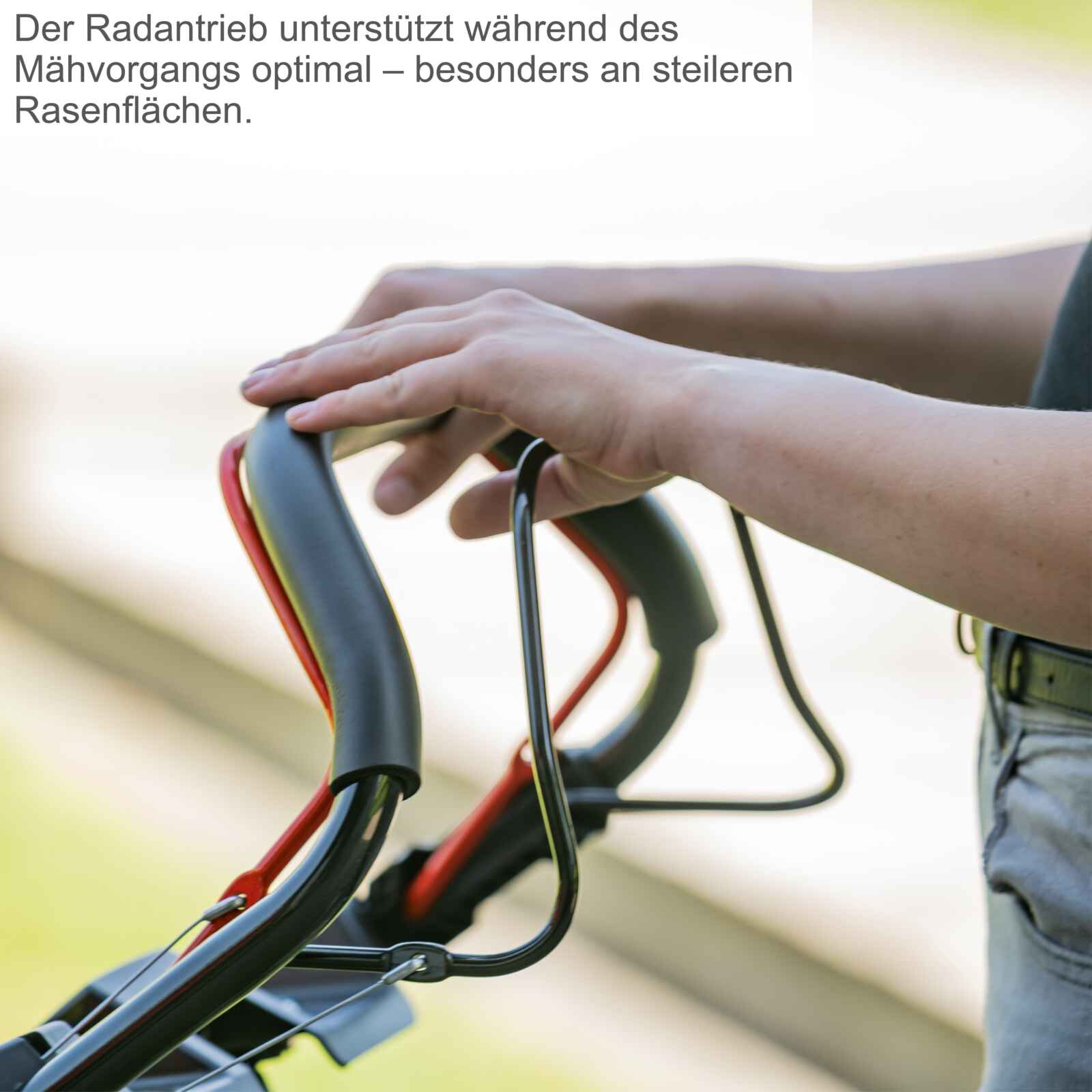 Scheppach motorna kosačica kosilica MS173-51 4.1 KS - Scheppach - MS173-51 - Vrt i poljoprivreda > Kosačice za travu >