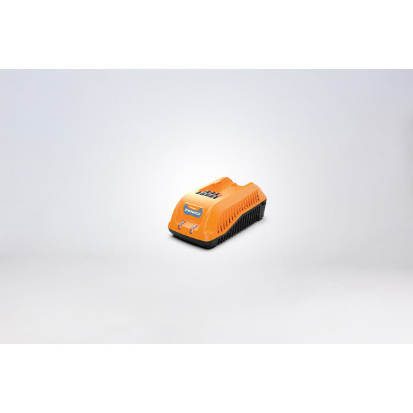 ZEN punjač 40V 2A - ZEN punjači - SKU 082473