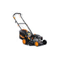 Motorna kosačica EAGLE 3111 V - Motorne kosačice - SKU 088952