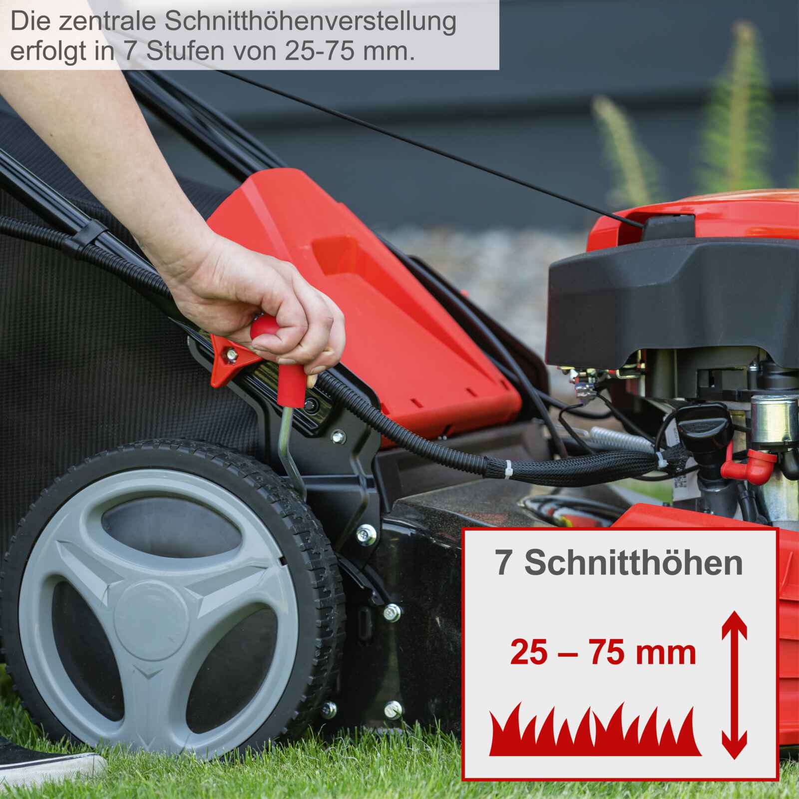 Scheppach motorna kosačica kosilica MS173-51E 4.1 KS - Scheppach - MS173-51E - Vrt i poljoprivreda > Kosačice za travu >