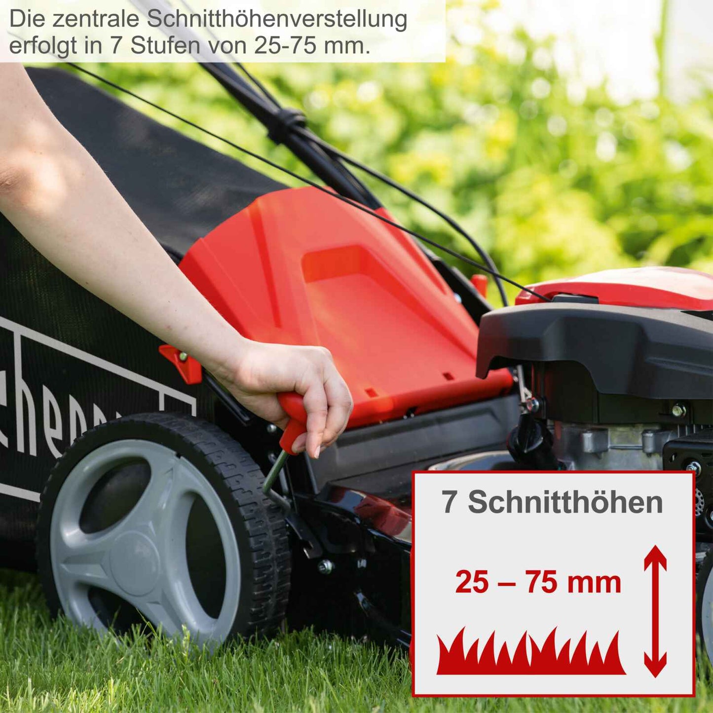 Scheppach motorna kosačica kosilica MS173-51 4.1 KS - Scheppach - MS173-51 - Vrt i poljoprivreda > Kosačice za travu >