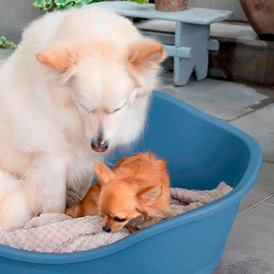 Stefanplast Spavač za pse broj 4 Svi proizvodi