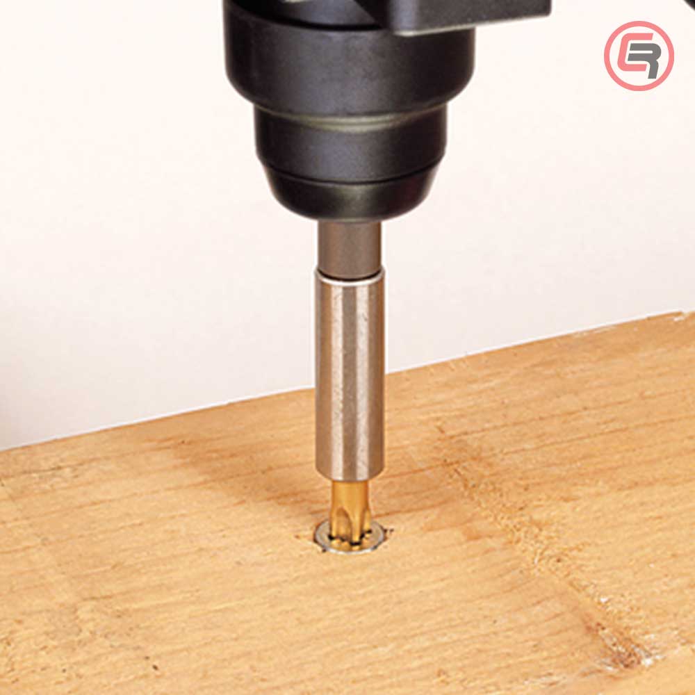 Wolfcraft Držač Bit Nastavaka 1/4” Magnetni SDS Plus Prihvat – 2429000 by Wolfcraft 2429000 Nasadni Ključevi + Pribor