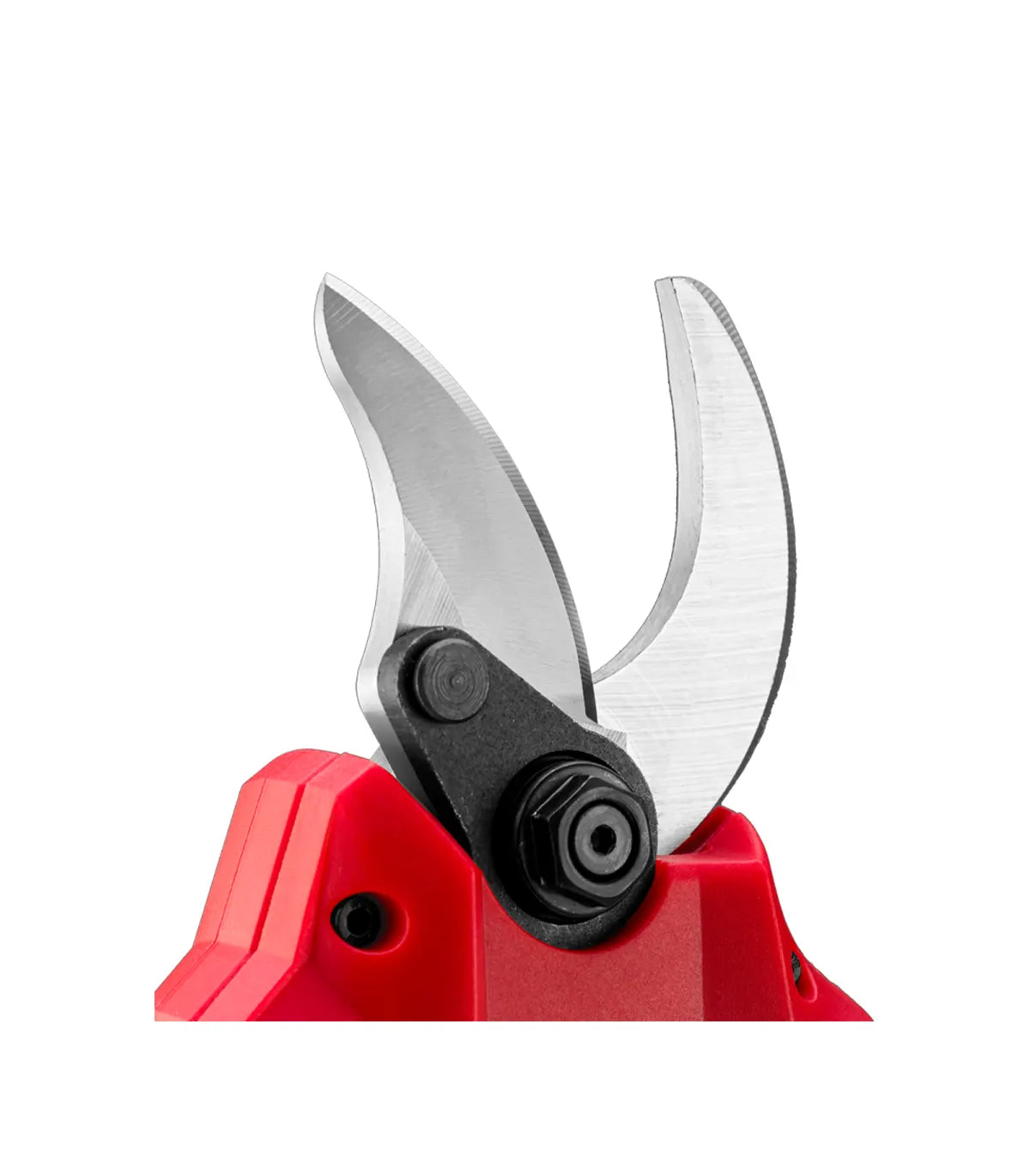 Praktik Tools – Akumulatorske škare za obrezivanje 18 V 30 mm PTQ097 SOLO by Praktik Škare za travu, grane i živu ogradu