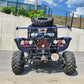 Buggy RENLI RL500