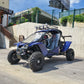 Buggy RENLI RL500