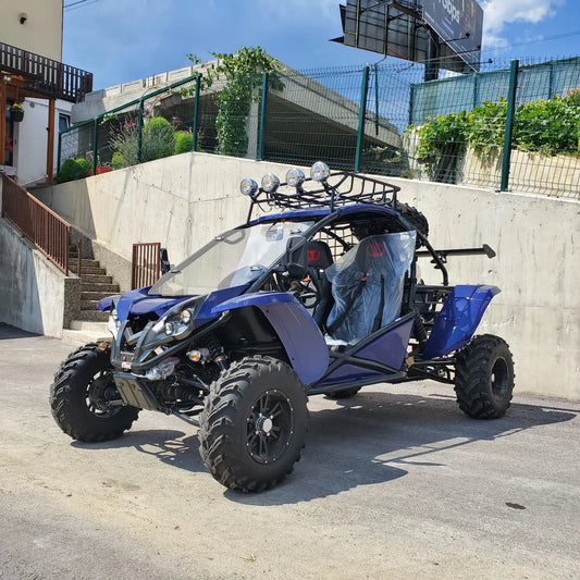 Buggy RENLI RL500