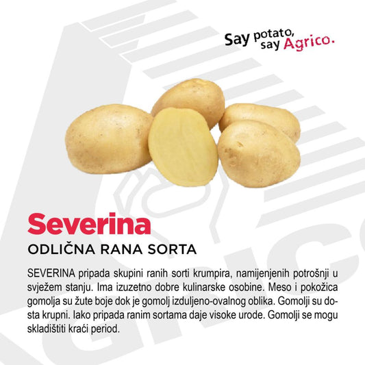 Sjeme krompira Severina žuti 25kg