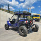 Buggy RENLI RL500
